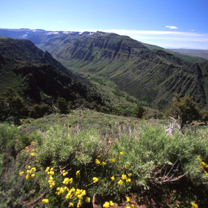 Little Indian Gorge