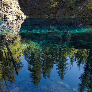 McKenzie River Trail