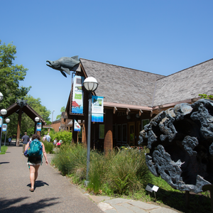 Museum of Natural and Cultural History